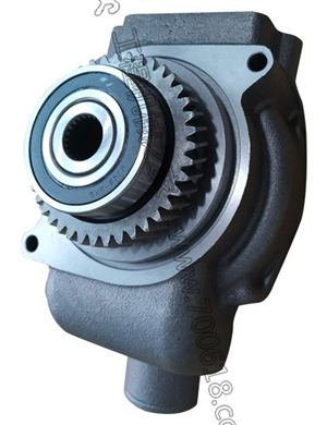 2W8002 water pump