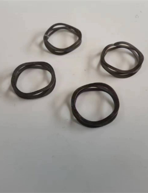 Vö   Paver    Multi layer waveform spring part number 2678523