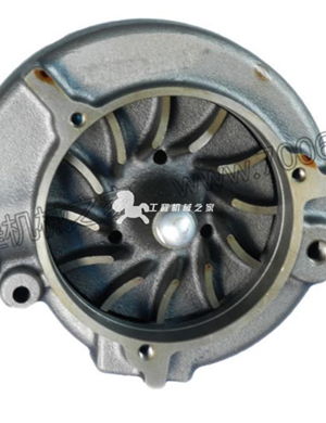 Volvo 1556330 water pump