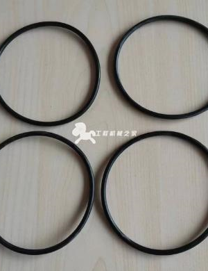  Hanger sealing ring part number 932211701