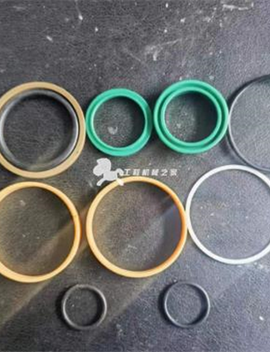 Sealing kit part number 4700679534 