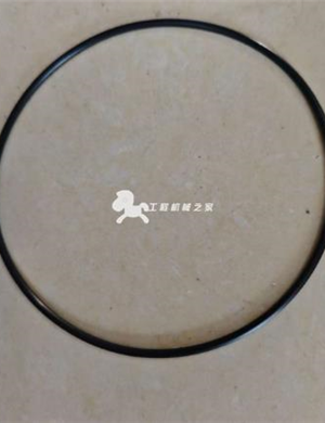  BOMAG sealing ring part number 06221001