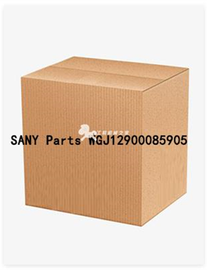 SANY Parts WGJ12900085905