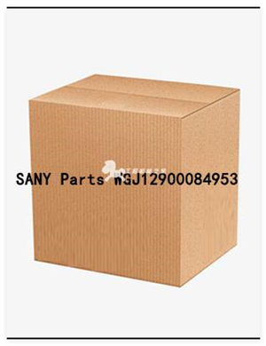 SANY Parts WGJ12900084953 