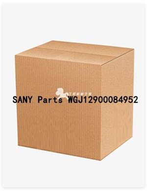 SANY Parts WGJ12900084952 