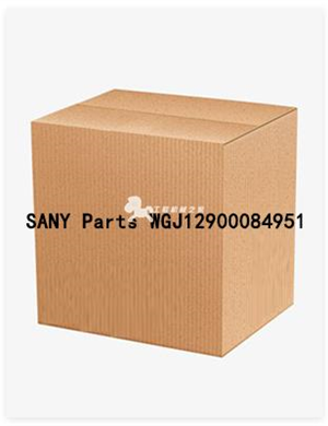 SANY Parts WGJ12900084951