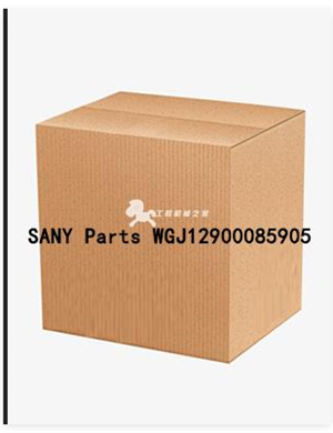 SANY Parts WGJ12900085905 