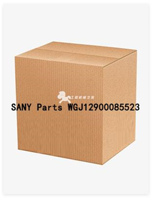 SANY Parts WGJ12900085523