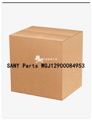 SANY Parts WGJ12900084953 