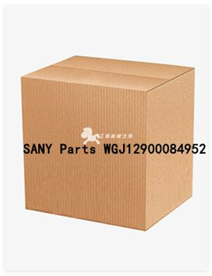  SANY Parts WGJ12900084952 