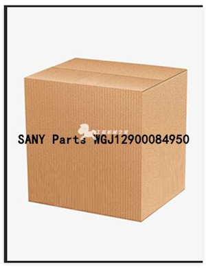 SANY Parts WGJ12900084950