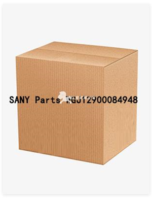 SANY Parts WGJ12900084948