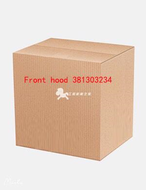 Front hood 381303234