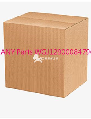 SANY Parts WGJ12900084796