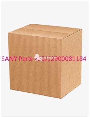 SANY Parts WGJ12900081184 