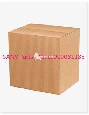 SANY Parts WGJ12900081185