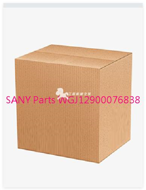 SANY Parts WGJ12900076838