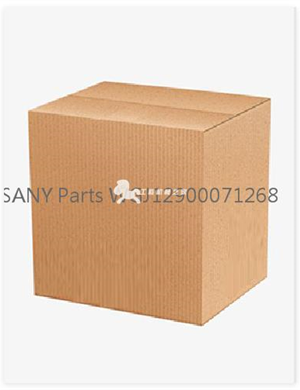 SANY Parts WGJ12900071268   