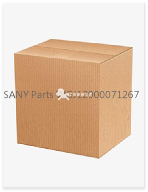 SANY Parts WGJ12900071267 