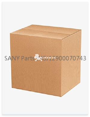 SANY Parts WGJ12900070743  