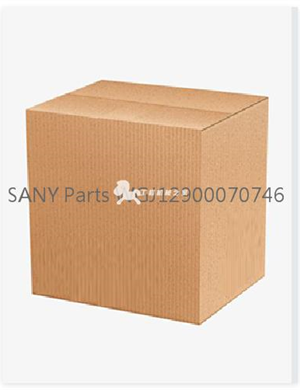 SANY Parts WGJ12900070746  
