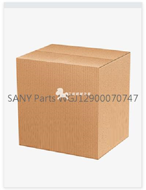 SANY Parts WGJ12900070747  