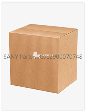SANY Parts WGJ12900070748  
