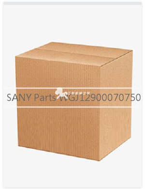  SANY Parts WGJ12900070750  