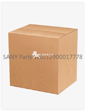  SANY Parts WGJ12900017778  