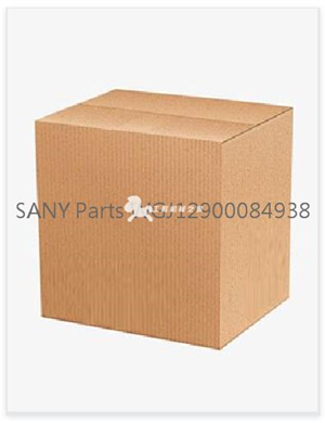SANY Parts WGJ12900084938 