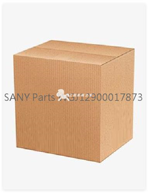  SANY Parts WGJ12900017873 