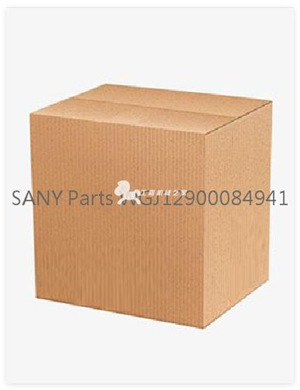  SANY Parts WGJ12900084941 