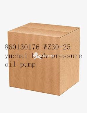 860130176 WZ30-25 yuchai high pressure oil pump B7B01-B8800-11111-00