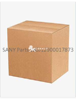 SANY Parts WGJ12900017873