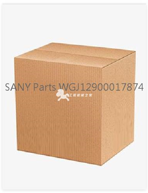  SANY Parts WGJ12900017874