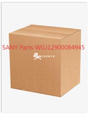 SANY Parts WGJ12900084945 