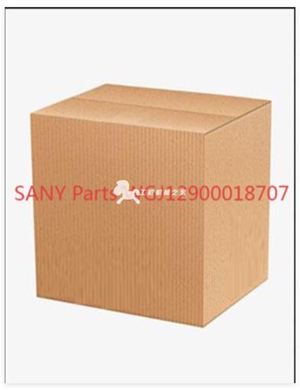  SANY Parts WGJ12900018707  