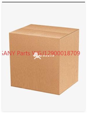 SANY Parts WGJ12900018709