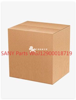 SANY Parts WGJ12900018719