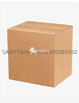   SANY Parts WGJ12900084950  