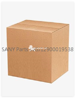 SANY Parts WGJ12900019538  