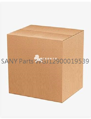   SANY Parts WGJ12900019539  