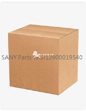 SANY Parts WGJ12900019540 