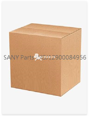   SANY Parts WGJ12900084956  