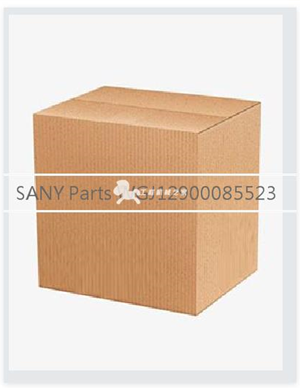 SANY Parts WGJ12900085523 