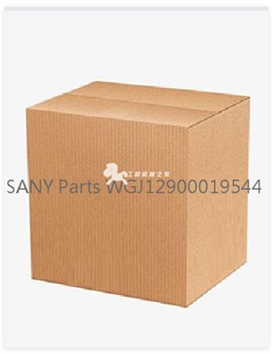  SANY Parts WGJ12900019544 