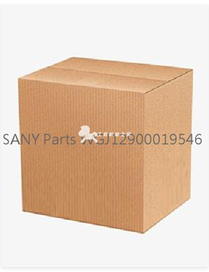   SANY Parts WGJ12900019546  