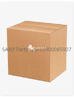  SANY Parts WGJ12900085907 