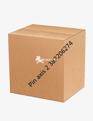 Pin axis 2 382206274