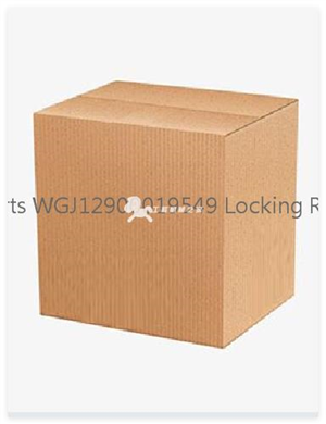 SANY Parts WGJ12900019549 Locking Rear Panel  